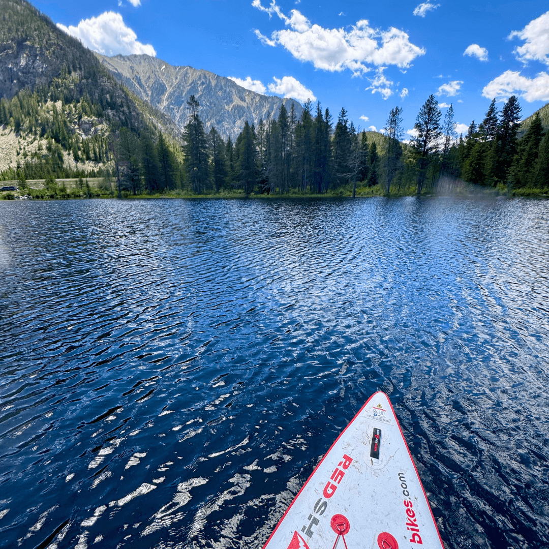 redsharkwaterbikes (2)